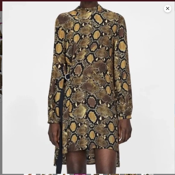 Zara Snakeskin Print Dress Sz L EUC - Picture 4 of 13